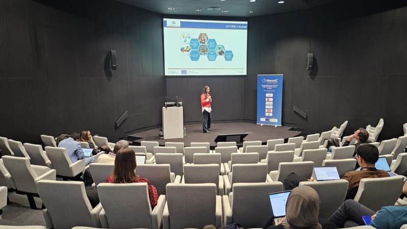 NanoIC workshop